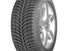 Sava Eskimo Ice, žieminės 175/70 R14