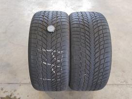 Nokian WR Snow Proof P, žieminės 255/35 R19