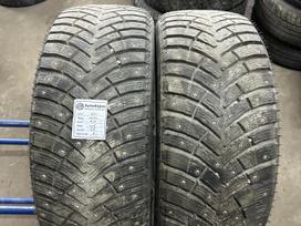 Nexen, žieminės 225/55 R17