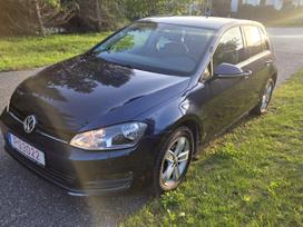 Volkswagen Golf, 1.6 l., hatchback