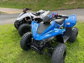 Linhai ATV 110 110cc, квадроциклы