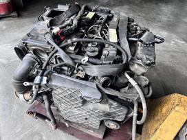 Mercedes-Benz C220, 651911, по частям. Be drožlių tikrintas a6510102844 a6510109798 65101