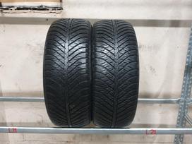 Goodyear Vector 4 Seasons, winter 225/50 R17