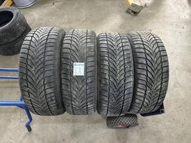 Goodyear, winter 205/55 R16