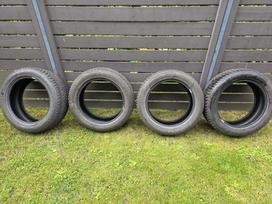 Dunlop, žieminės 215/55 R17