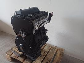 Ford Transit, CYFF, variklis