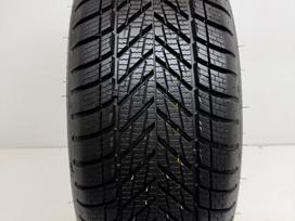Dunlop Winter 2025m, зимние 205/55 R16