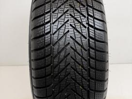 Dunlop Winter 2025m, žieminės 205/55 R16