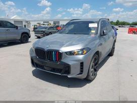 BMW X5, 3.0 l., off-road / crossover