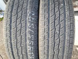Toyo Open Country A/T, vasarinės 245/55 R19