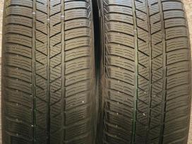 Barum Polaris 5, winter 205/60 R16