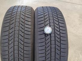 Continental Winter contact TS 870P, winter 235/45 R18