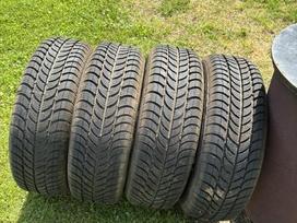 Debica Frigo, winter 195/65 R15