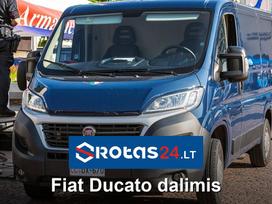 Fiat Ducato Greitam susisiekimui naudokite whatsapp https wa me 3706542