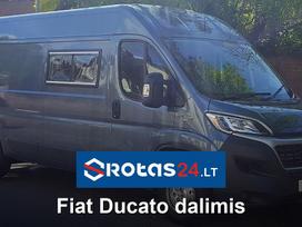 Fiat Ducato, preču