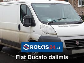 Fiat Ducato, cargo vans