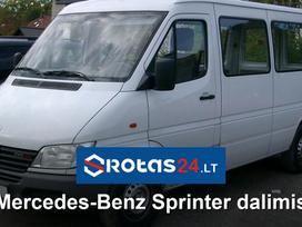 Mercedes-Benz Sprinter, грузовые микроавтобусы