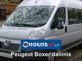 Peugeot Boxer, cargo vans