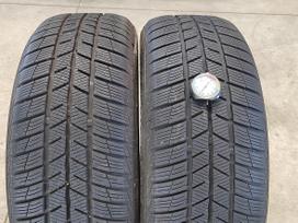Barum Polaris 5, winter 215/50 R17