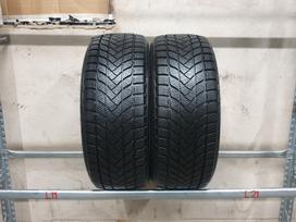 Landsail Winter Lander apie 9mm, зимние 215/55 R17