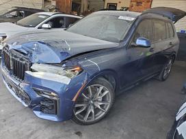 BMW X7, 4.4 l., visureigis / krosoveris