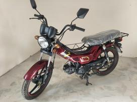 Champ Delta 49cc, motoroleriai / mopedai