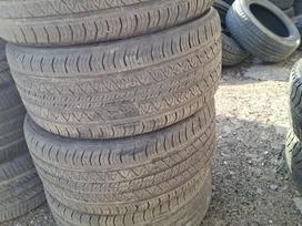 Continental 2026 metų, vasarinės 255/40 R19