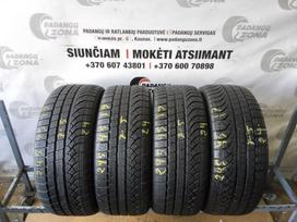 Pirelli P Zero Winter, žieminės 245/45 R19