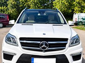 Mercedes-benz Gl450, 4.7 l., visureigis /