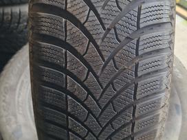 Semperit Speed-Grip 5, all-season 195/65 R15