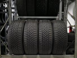 Dunlop Winter Sport 5, ziemas 205/60 R16