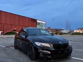 BMW 228, 2.0 l., kupė (coupe)