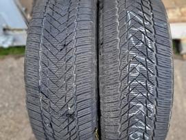 -Kita- ROYALBLACK Royal Winter HP, žieminės 215/60 R16