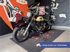 Kawasaki VN 800cc, čioperiai / kruizeriai / custom