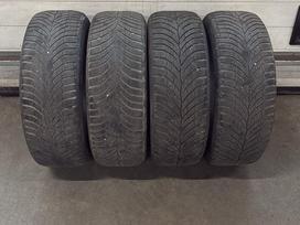 Continental EcoContact TS870, žieminės 205/55 R16