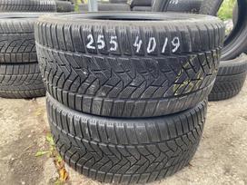 Dunlop Wintersport 5, зимние 255/40 R19
