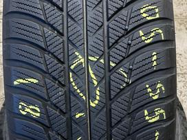 Bridgestone Blizzak LM 001, winter 205/55 R17