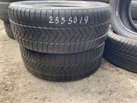 Pirelli Scorpion winter, зимние 255/50 R19