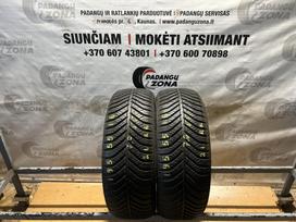 Goodyear Vector 4Seasons, universalios 195/55 R16