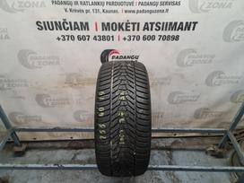 Hankook Winter I Cept Evo 3 100V, winter 255/40 R19