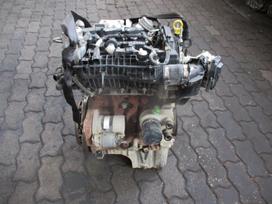 Ford EcoSport Variklis 1 0t m1ju