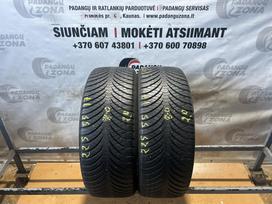 Goodyear Vector 4seasons gen-2, all-season 225/55 R17