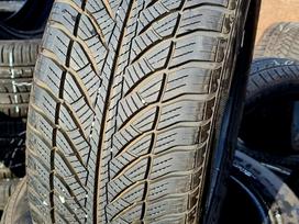 Goodyear UltraGrip 8 Performance, universalios 225/55 R17