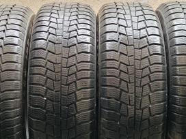 General Altimax Winter 3, žieminės 195/65 R15