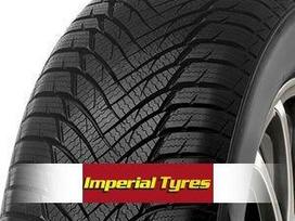 Imperial Snowdragon HP, winter 195/55 R16