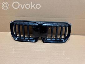 BMW X1 front grill