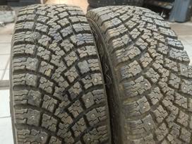 Zeta, winter 185/70 R14