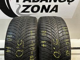 Bridgestone LM005, žieminės 265/40 R20