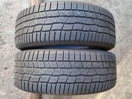 Continental Conti Winter Contact TS 830P, winter 205/60 R16