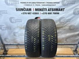 Goodyear Vector 4seasons cargo (MO-V), universalios 225/55 R17
